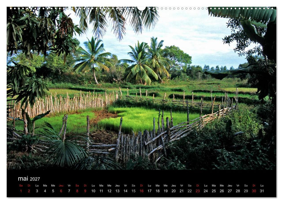 Madagascar L'île aux merveilles (CALVENDO Calendrier supérieur 2027)