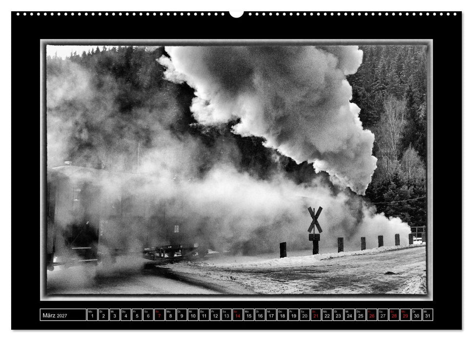 Die Preßnitztalbahn (CALVENDO Premium Wandkalender 2027)