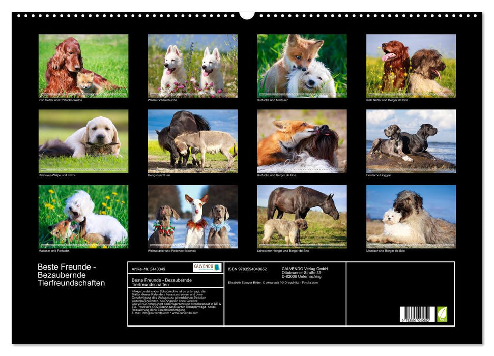 Beste Freunde - Bezaubernde Tierfreundschaften (CALVENDO Wandkalender 2027)