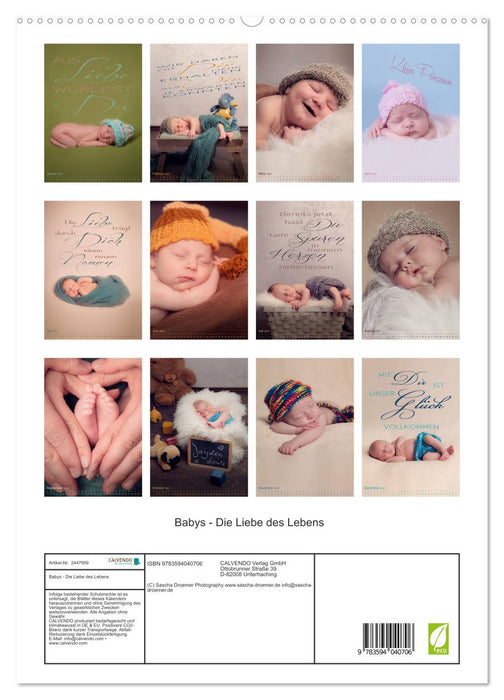 Babys - Die Liebe des Lebens (CALVENDO Premium Wandkalender 2027)