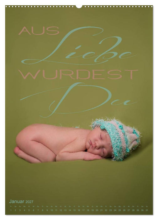 Babys - Die Liebe des Lebens (CALVENDO Premium Wandkalender 2027)