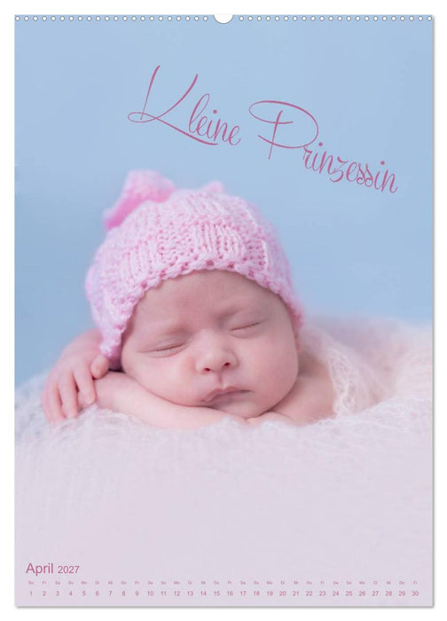 Babys - Die Liebe des Lebens (CALVENDO Premium Wandkalender 2027)