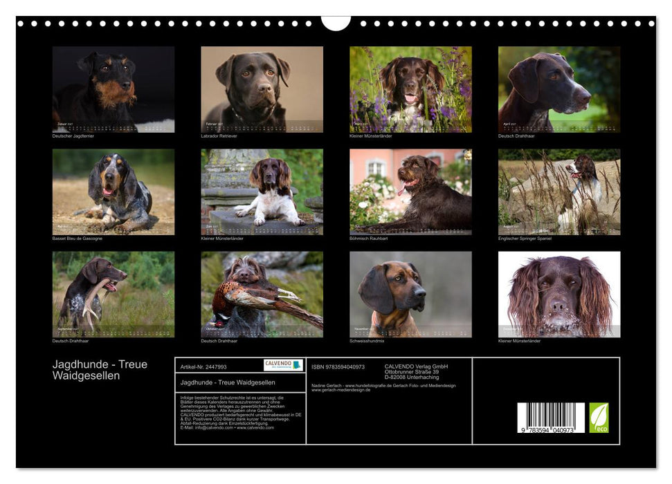 Jagdhunde - Treue Waidgesellen (CALVENDO Wandkalender 2027)