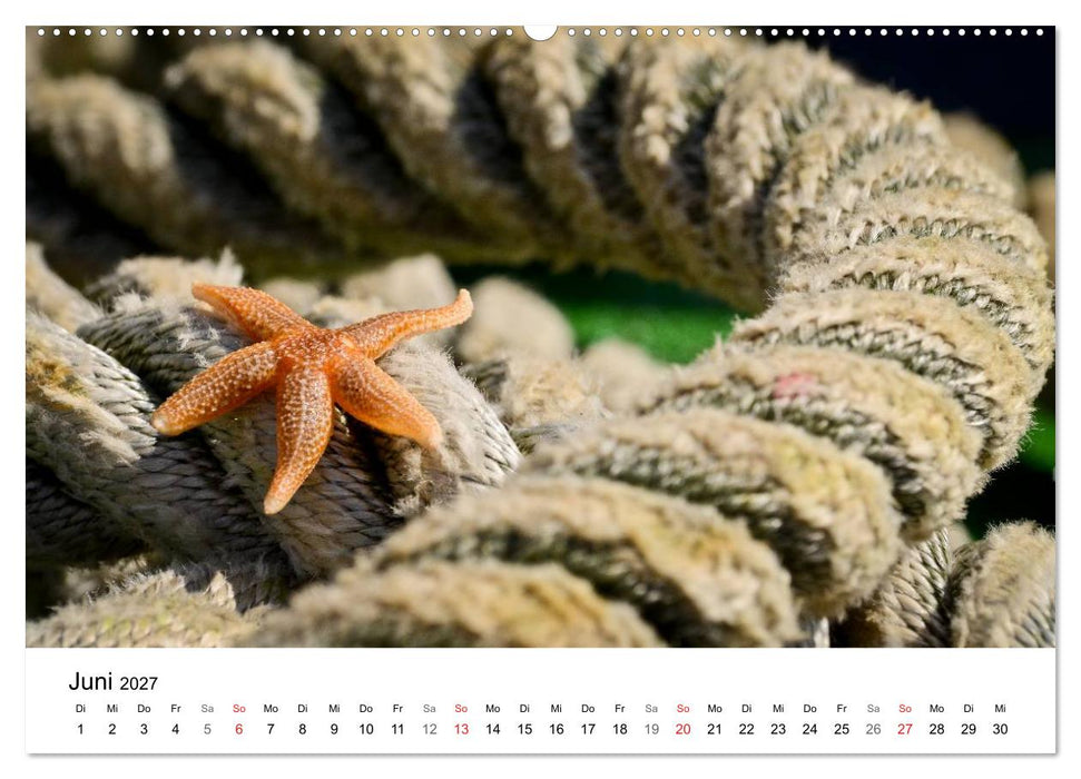 Maritime Impressionen Wilhelmshaven (CALVENDO Premium Wandkalender 2027)