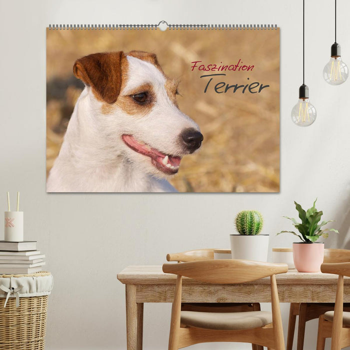 Faszination Terrier (CALVENDO Wandkalender 2027)