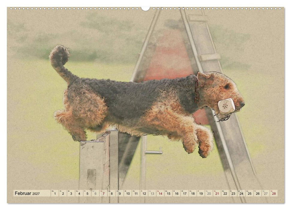 Airedale Terrier 2027 (CALVENDO Premium Wandkalender 2027)
