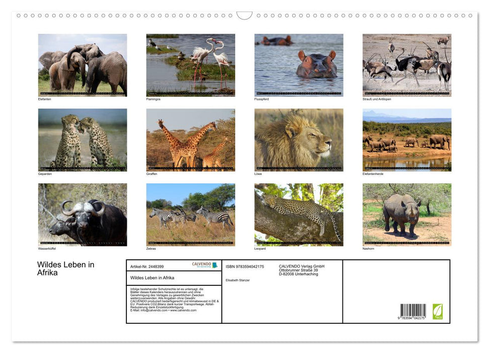 Wildes Leben in Afrika (CALVENDO Wandkalender 2027)