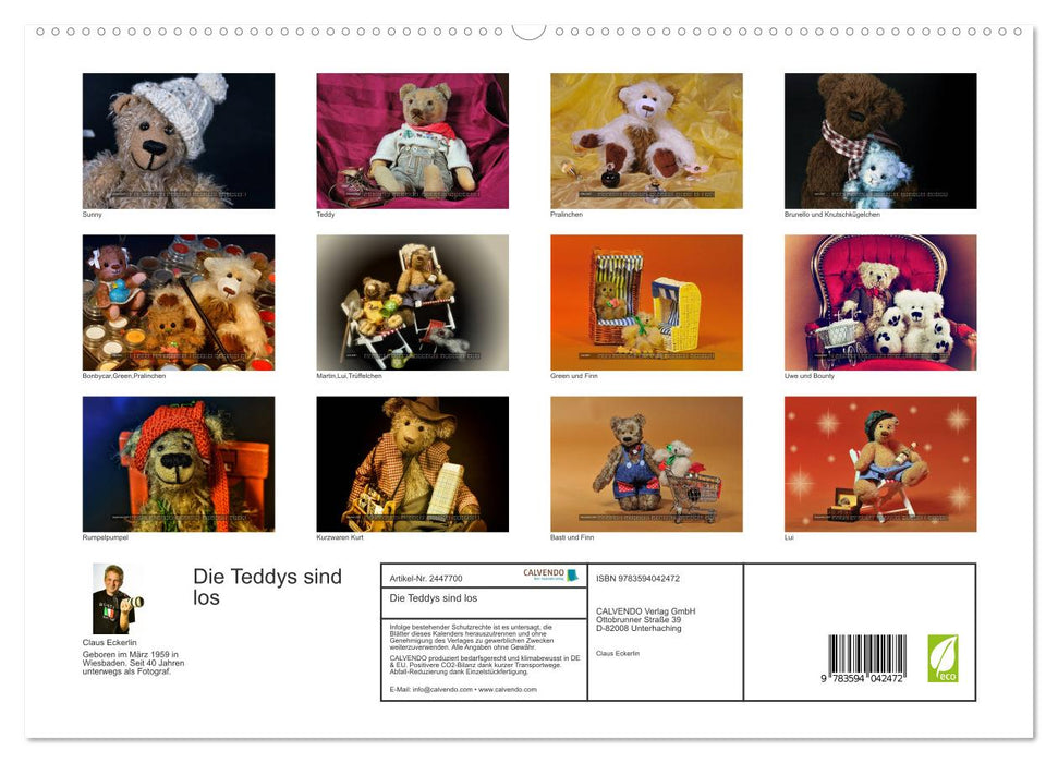 Die Teddys sind los (CALVENDO Premium Wandkalender 2027)