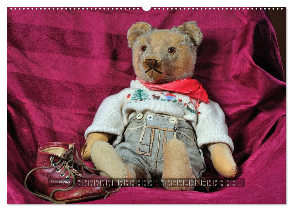 Die Teddys sind los (CALVENDO Premium Wandkalender 2027)