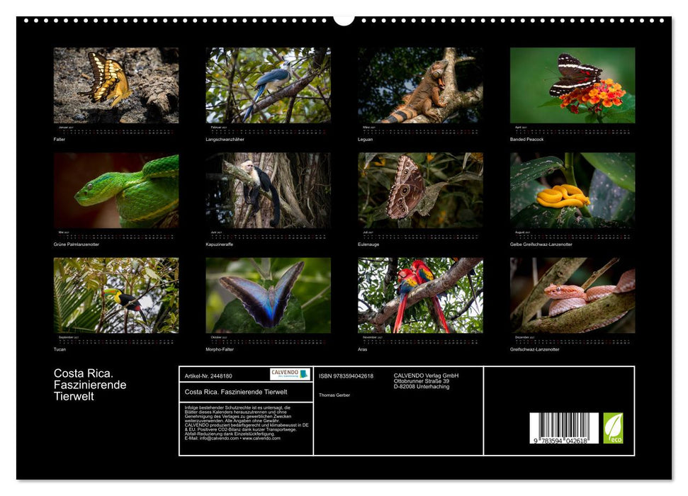 Costa Rica. Faszinierende Tierwelt (CALVENDO Premium Wandkalender 2027)