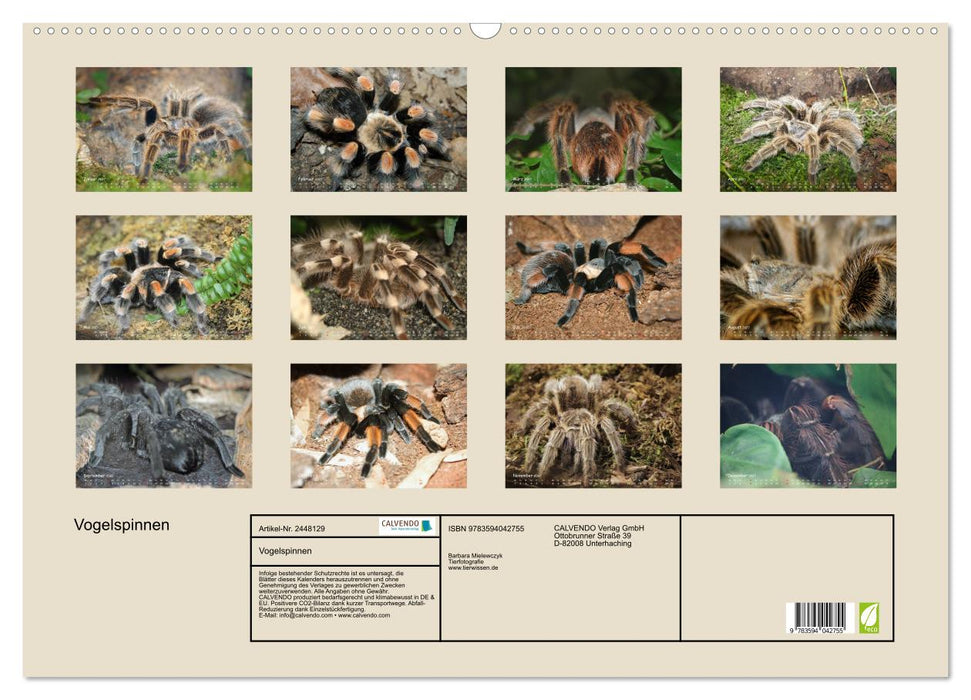Vogelspinnen (CALVENDO Wandkalender 2027)