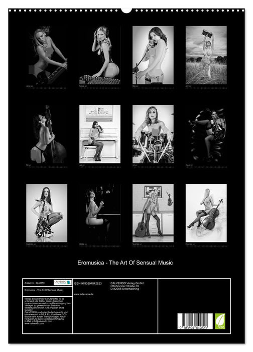 Eromusica - The Art Of Sensual Music (CALVENDO Premium Wandkalender 2027)