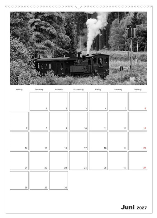 Unter Dampf. Eisenbahnromantik im Harz (CALVENDO Wandkalender 2027)