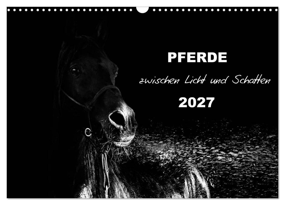 Pferde zwischen Licht und Schatten (CALVENDO Wandkalender 2027)