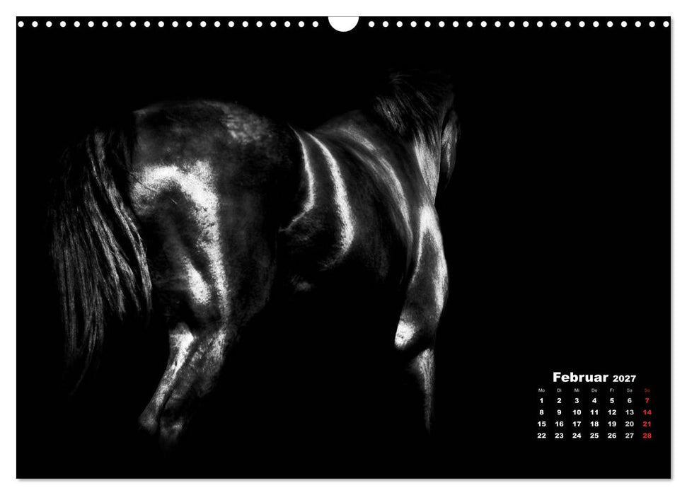 Pferde zwischen Licht und Schatten (CALVENDO Wandkalender 2027)