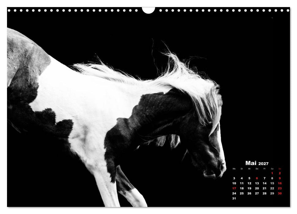 Pferde zwischen Licht und Schatten (CALVENDO Wandkalender 2027)