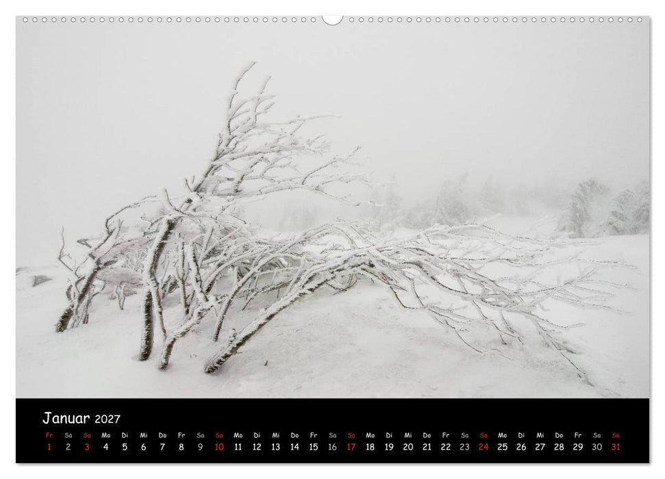 Faszination Harz 2027 (CALVENDO Wandkalender 2027)