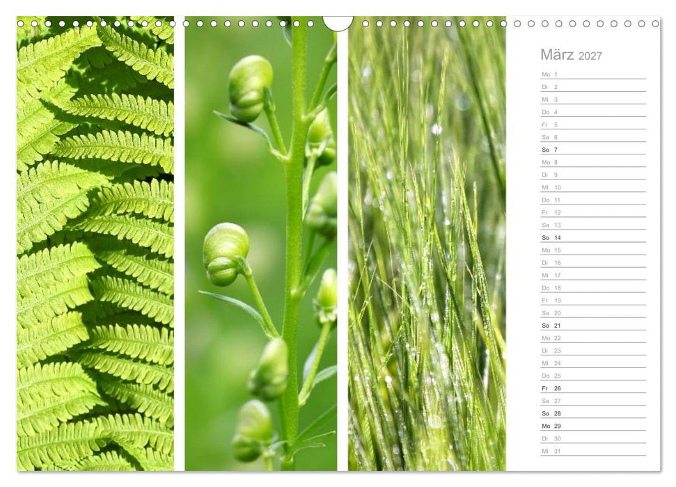 Natürlicher Dreiklang (CALVENDO Wandkalender 2027)