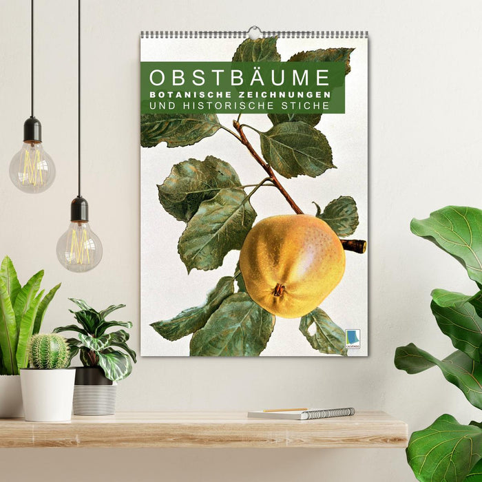 Obstbäume: Botanische Zeichnungen und historische Stiche (CALVENDO Wandkalender 2027)