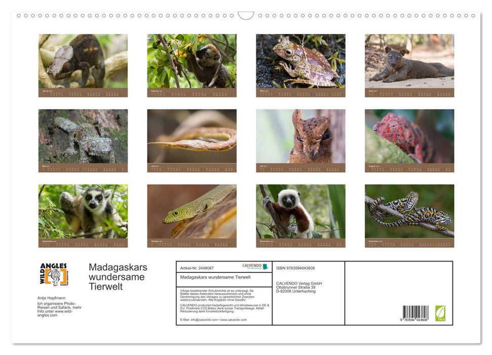 Madagaskars wundersame Tierwelt (CALVENDO Wandkalender 2027)
