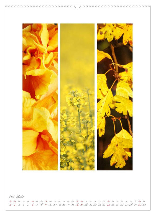 Natur Farben Dreiklang (CALVENDO Wandkalender 2027)