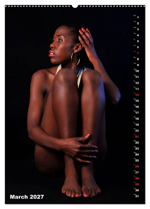 Seated naked beauties (CALVENDO Premium-Calendar 2027)