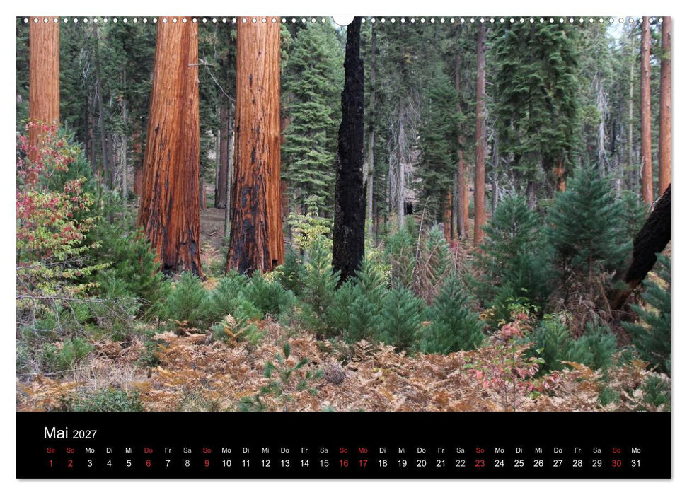Kalifornien 2027 (CALVENDO Premium Wandkalender 2027)