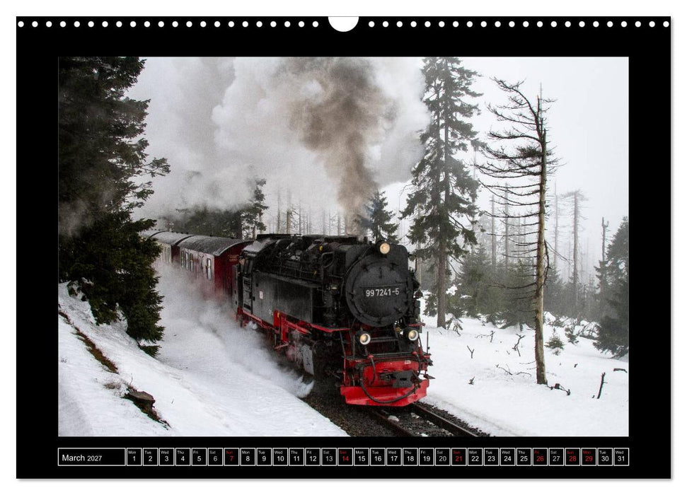 Steam Experience (CALVENDO Monthly Calendar 2027)