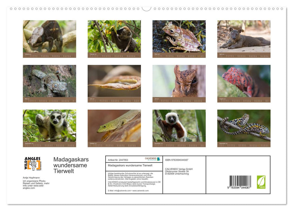 Madagaskars wundersame Tierwelt (CALVENDO Premium Wandkalender 2027)
