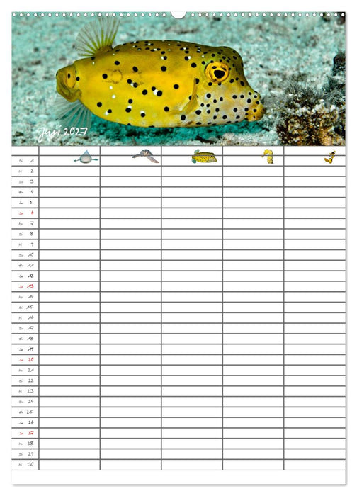 Der Unterwasser Familienplaner 2027 (CALVENDO Wandkalender 2027)