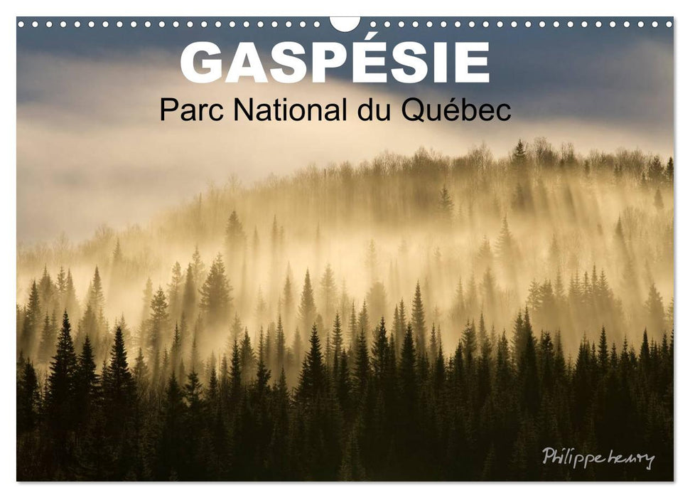 GASPÉSIE. Parc National du Québec (CALVENDO Calendrier mensuel 2027)