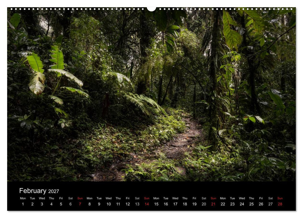 Costa Rica Colours and Light (CALVENDO Premium-Calendar 2027)