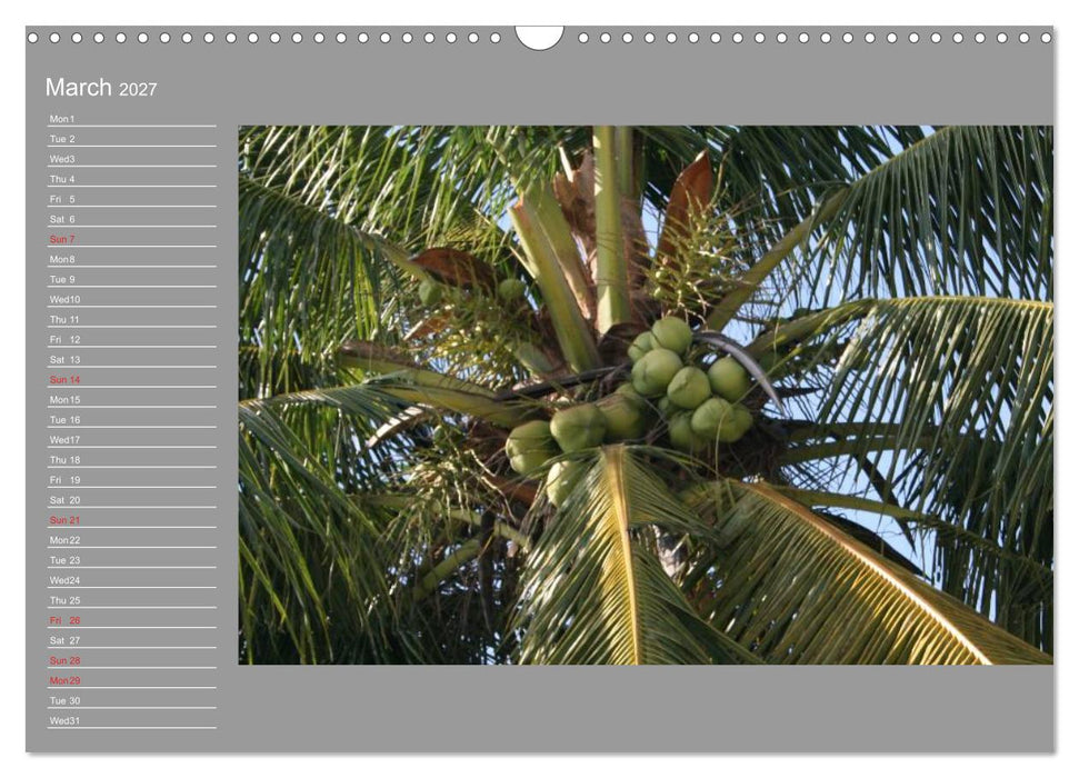 Philippines Colorful Life (CALVENDO Monthly Calendar 2027)
