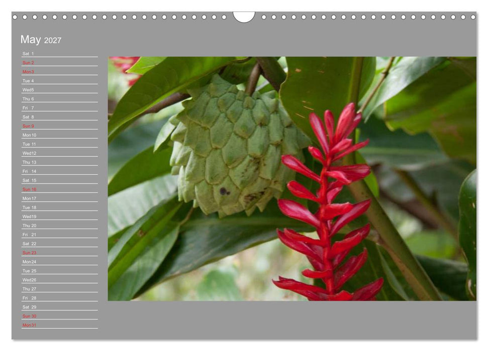 Philippines Colorful Life (CALVENDO Monthly Calendar 2027)