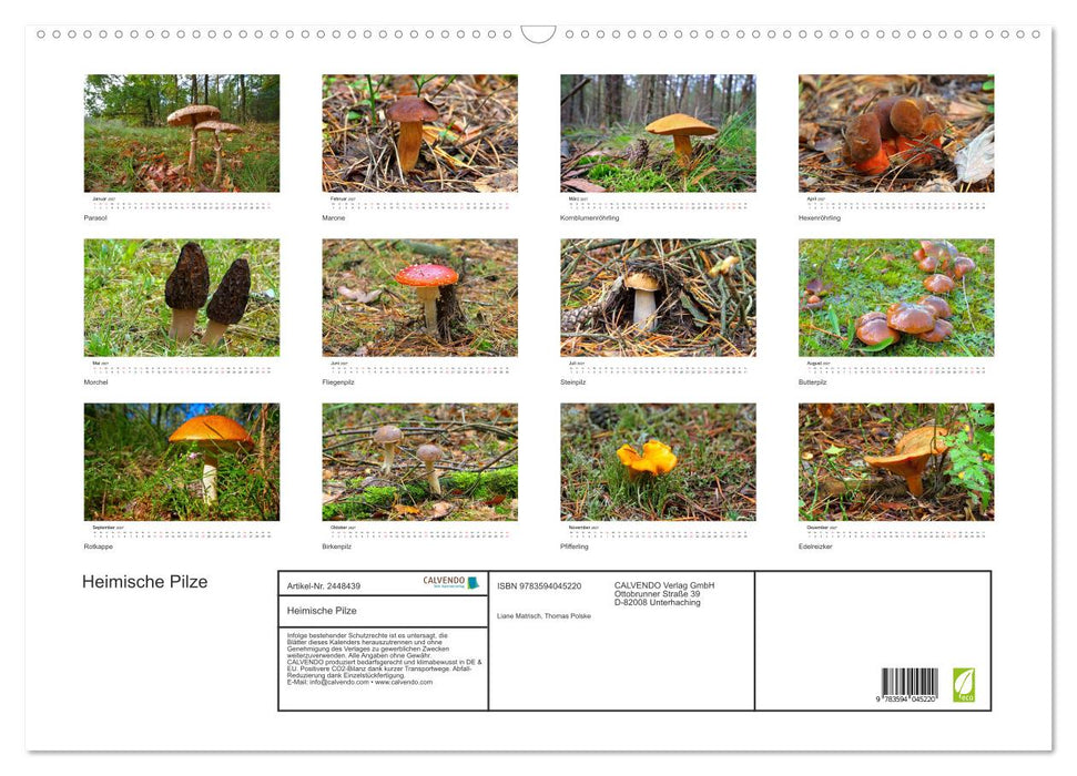 Heimische Pilze (CALVENDO Wandkalender 2027)