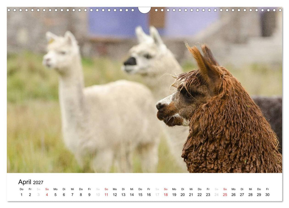 Peru - Land der Inkas und Alpakas (CALVENDO Wandkalender 2027)