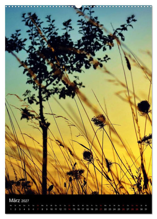 Natur-Romantik (CALVENDO Wandkalender 2027)