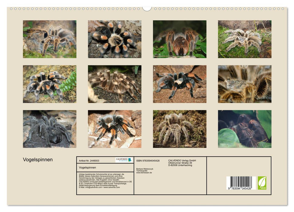 Vogelspinnen (CALVENDO Premium Wandkalender 2027)