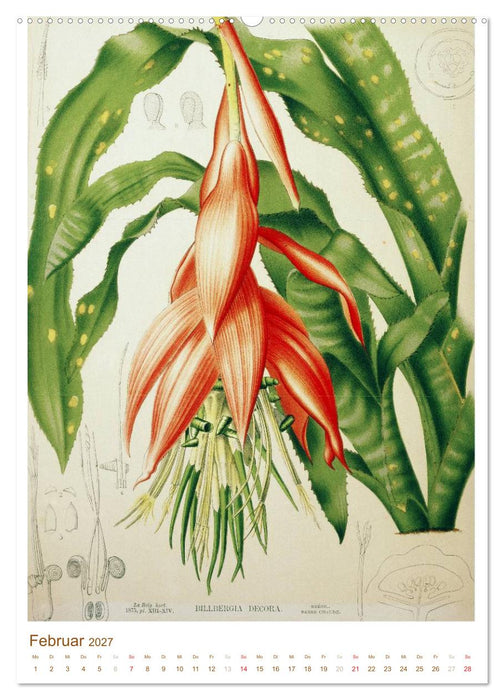 Blüten: Zeichnungen und Stiche aus dem 19. Jahrhundert (CALVENDO Premium Wandkalender 2027)