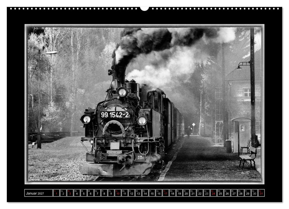 Unter Dampf - Mit der Preßnitztalbahn durchs Erzgebirge (CALVENDO Wandkalender 2027)
