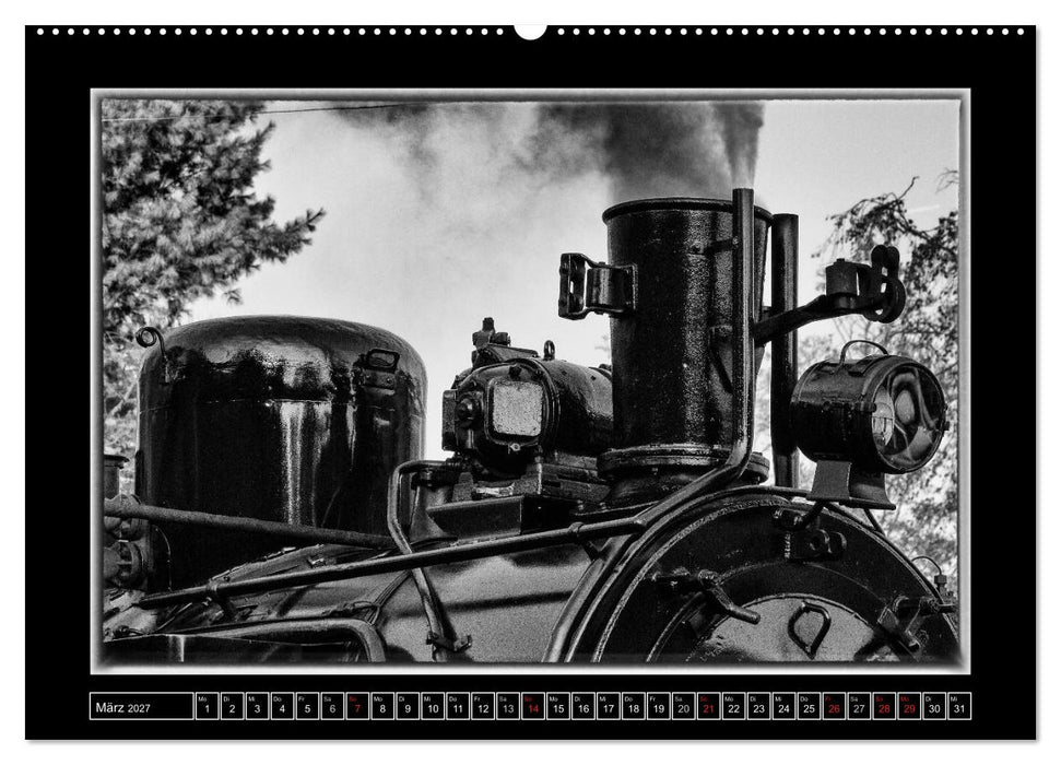 Unter Dampf - Mit der Preßnitztalbahn durchs Erzgebirge (CALVENDO Wandkalender 2027)