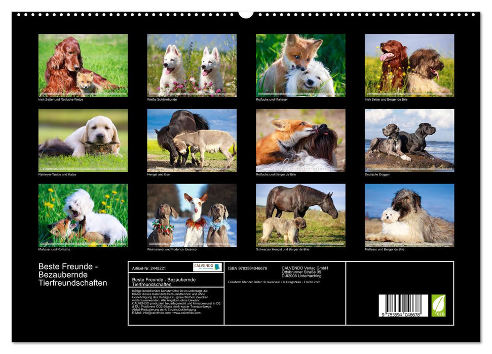 Beste Freunde - Bezaubernde Tierfreundschaften (CALVENDO Premium Wandkalender 2027)