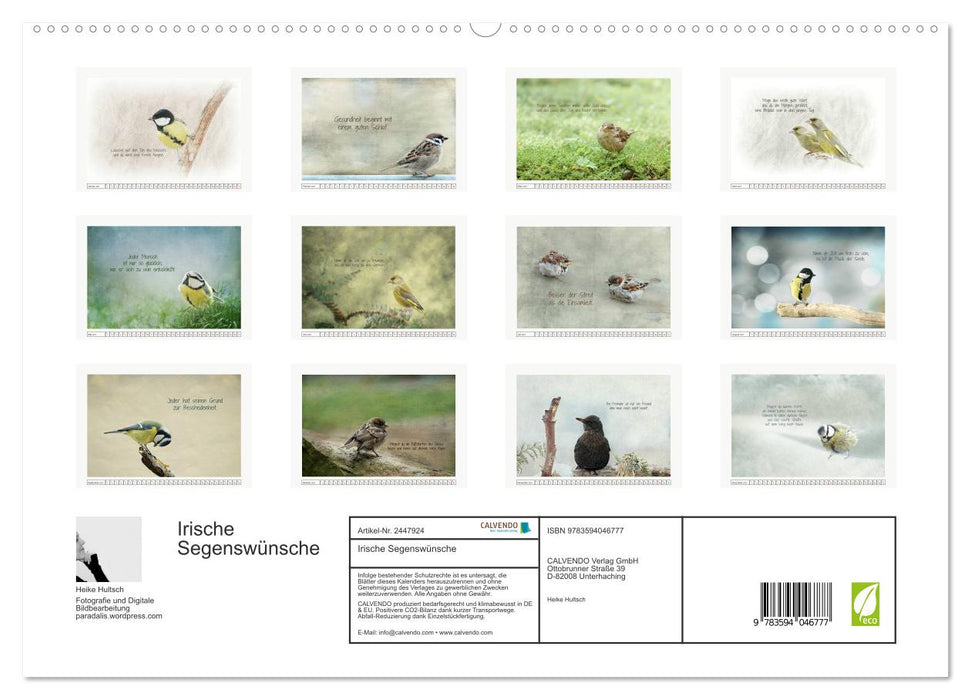 Irische Segenswünsche (CALVENDO Premium Wandkalender 2027)