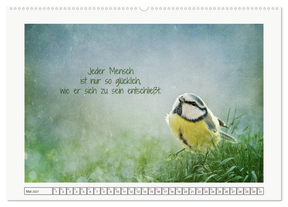 Irische Segenswünsche (CALVENDO Premium Wandkalender 2027)