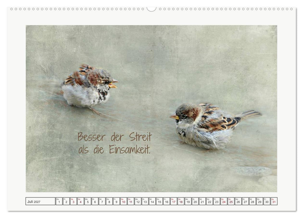 Irische Segenswünsche (CALVENDO Premium Wandkalender 2027)