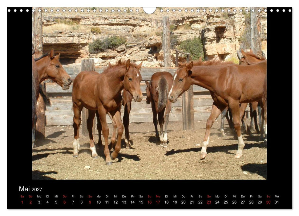 City Slickers - Ranchurlaub (CALVENDO Wandkalender 2027)