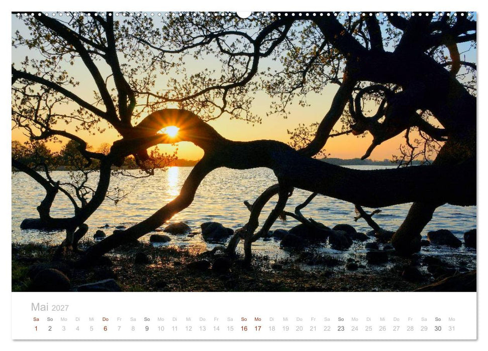 Zauberhafte Schlei (CALVENDO Premium Wandkalender 2027)