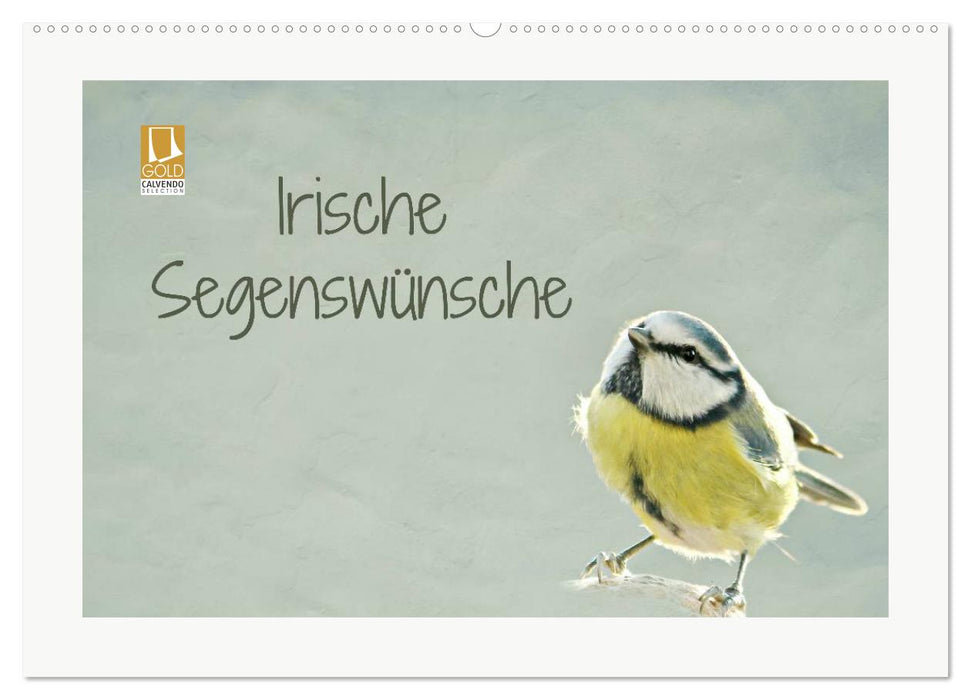 Irische Segenswünsche (CALVENDO Wandkalender 2027)