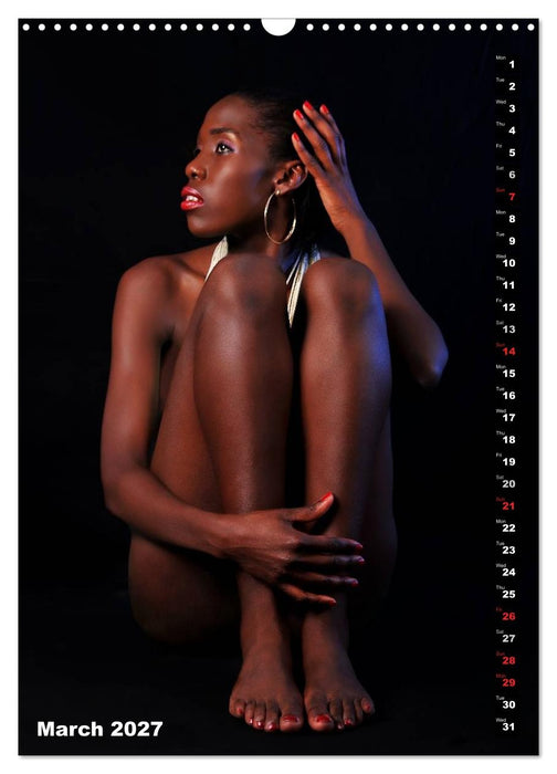 Seated naked beauties (CALVENDO Monthly Calendar 2027)