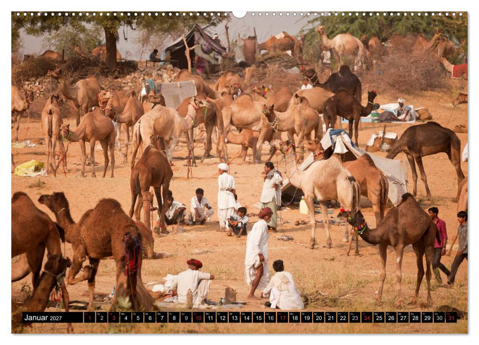 Rajasthan, Indien - Pushkar Mela (CALVENDO Premium Wandkalender 2027)